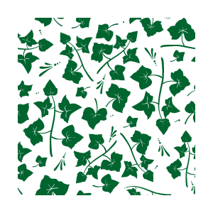 Ivy Lettings