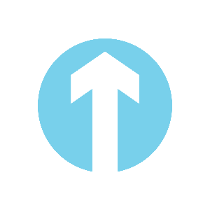 The Future Project