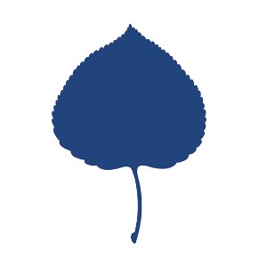Aspen Institute