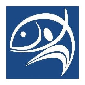 World Fish