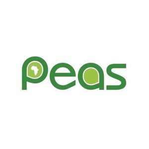 PEAS (Promoting Equality in African Schools)